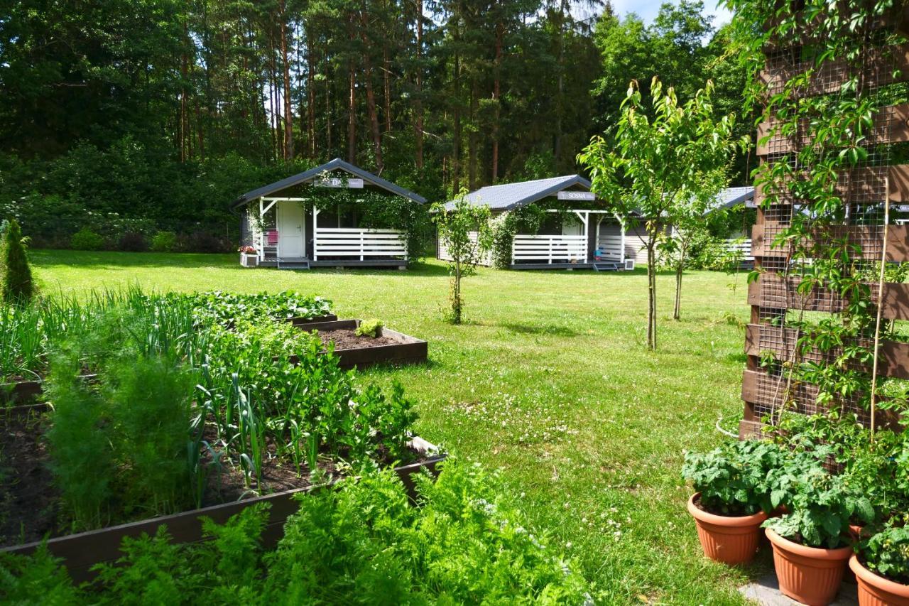 Przylesie21 Vila Ustka Exterior foto